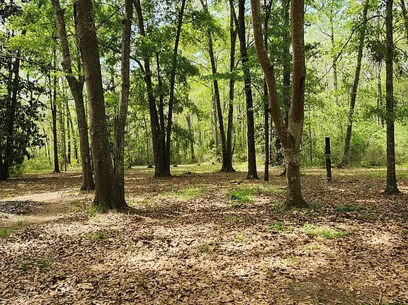 149 Southern Living Dr, Ochlocknee, GA 31773