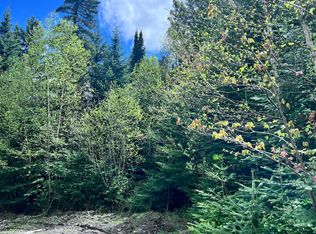 58 Left Branch Of Summit Rd, Rangeley, ME 04970