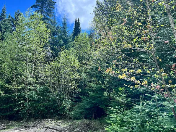 Lot 58 Left Branch of Summit Road, Sandy River Plt, ME 04970