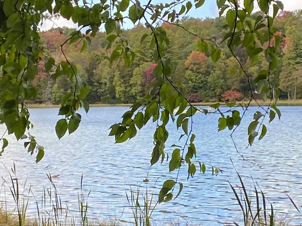 0 Truax Lake Rd Lot 42, Williamsburg, MI 49690