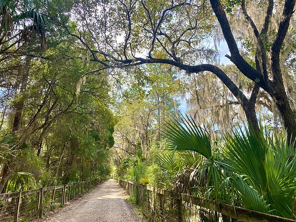 The driveway, before you arrive at the house.