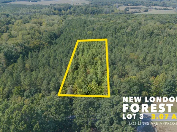 0 New London Rd Lot 3, Forest, VA 24551