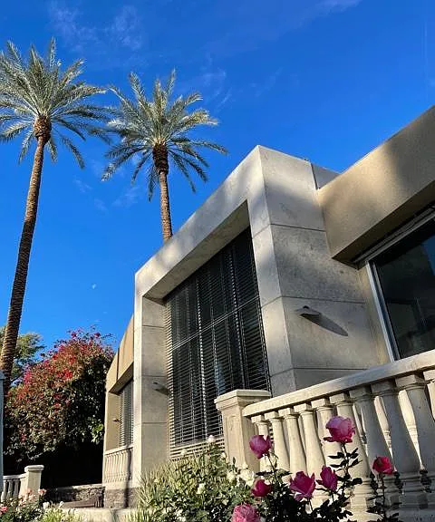 18' roof and majestic 80' date palms.