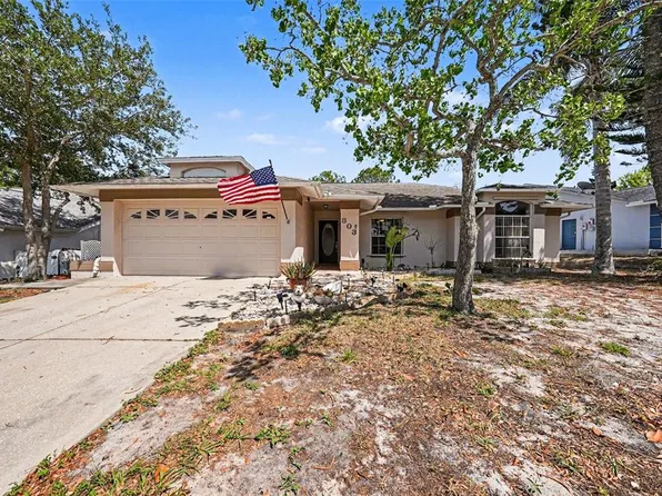 803 High Point Ct, Tarpon Springs, FL 34689