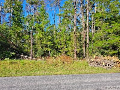 12 Lindwood Ct, Homosassa, FL, 34446