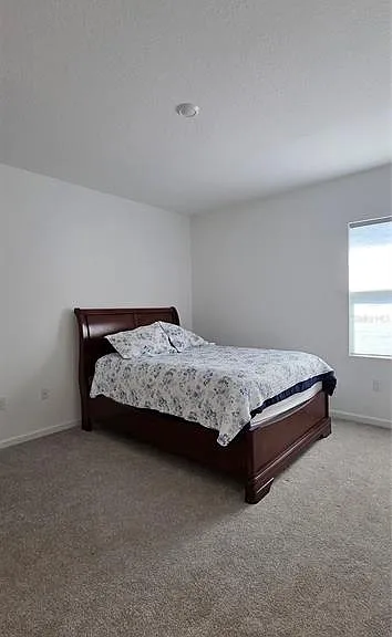 299 Bottle Brush Dr — Photo 19