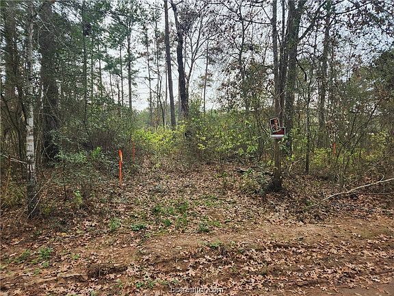 2nd image of LOT 11 Tawnyberry Ln