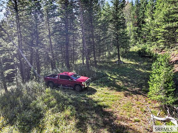 3rd image of Coyote Run