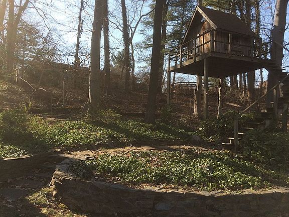 Treehouse w wrap around deck