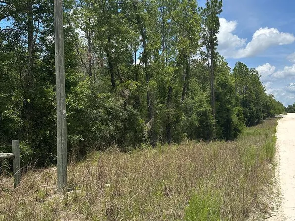 NW 17th Ct, Bell, FL 32619