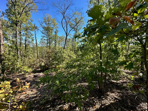 000 Highway H-Tract 1b, Elk Creek, MO 65464