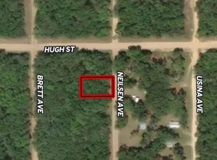 LOT 35 Neilsen Ave LOT 35, Interlachen, FL 32148