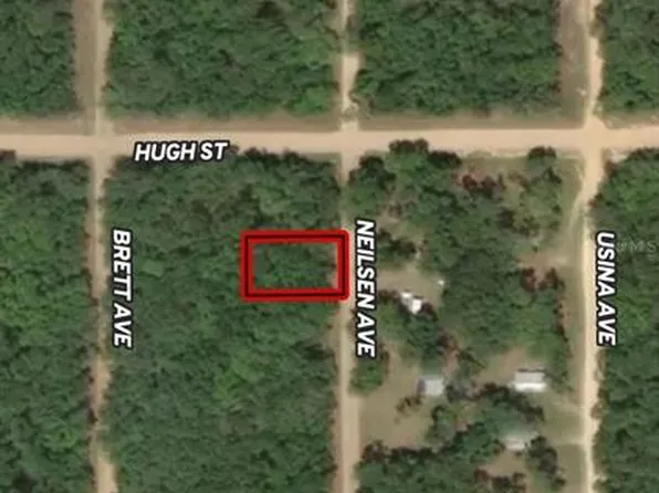 LOT 35 Neilsen Ave Lot 35, Interlachen, FL 32148
