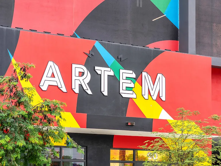 Artem — Photo 9