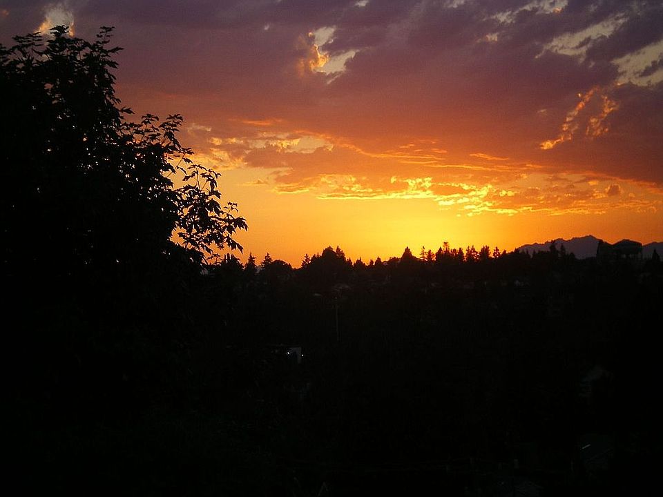 Beautiful Olympic Mountain sunsets!