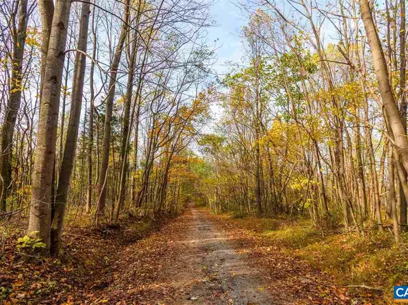 LOT 1800 Sam Mundy Rd, Barboursville, VA 22923