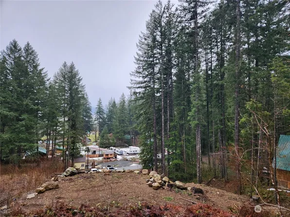 0 Lot 9 Richer Drive, Packwood, WA 98361
