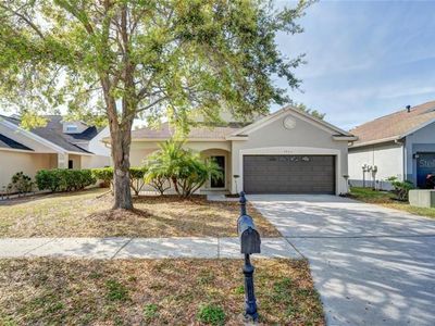 9804 Patrician Dr, New Port Richey, FL, 34655