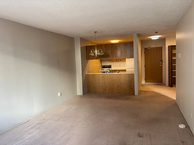 view from the far end of living room