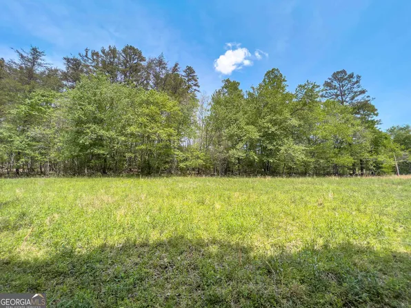 23.87 Hardscrabble Rd, Mineral Bluff, GA 30559