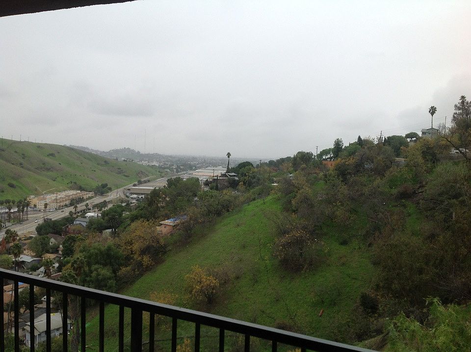 View from Living Room