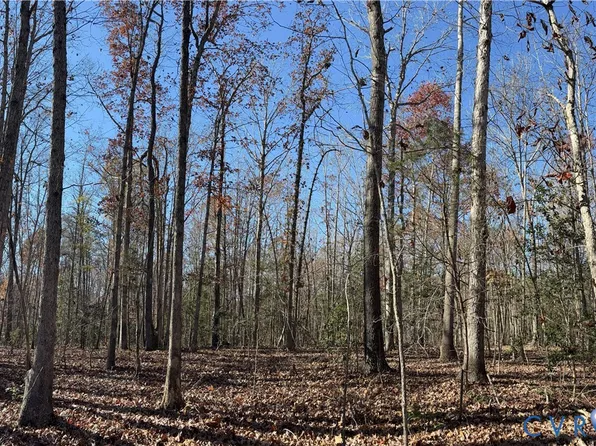 4 Diggstown Rd, Bumpass, VA 23024