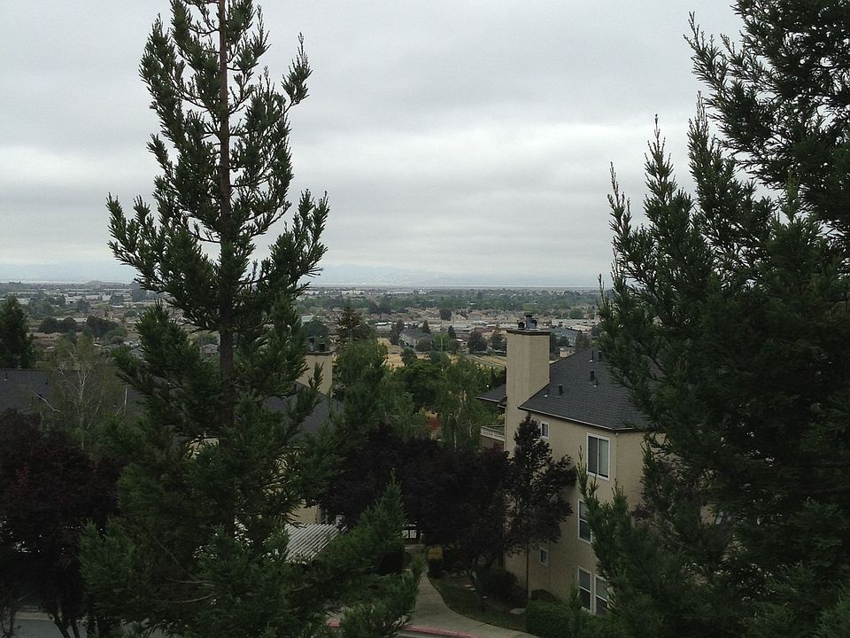 1st image of 699 Dartmore Ln APT 371