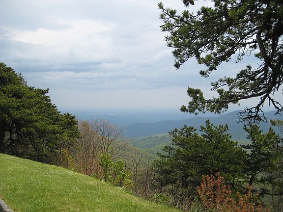 5th image of 56 Summit Tower Cir