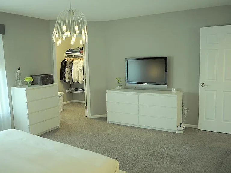 Master bedroom with walk-in closet