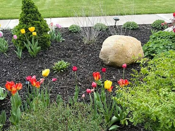 3rd image of 10201 Opal Ridge Dr