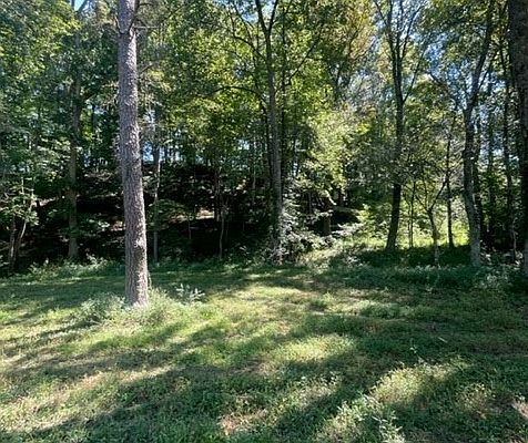 4th image of LOT 2 Clear Creek Preserve Way