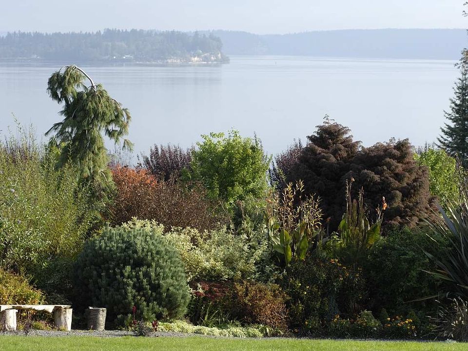 View from house