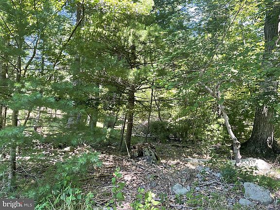 5th image of Corls Ridge Rd