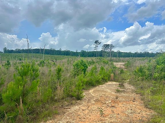 5th image of 0 County Road 75 N