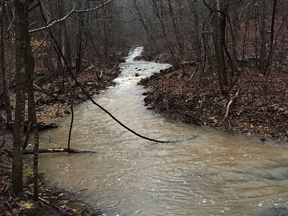 2nd image of 57 Canterbury Creek Rd