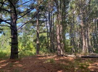 14466 County Road 393, Tyler, TX 75708