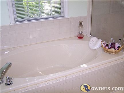master bathroom garden tub