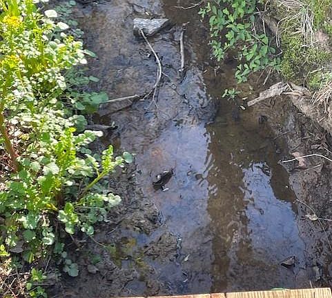 3rd image of 0 India Rd Lot 3