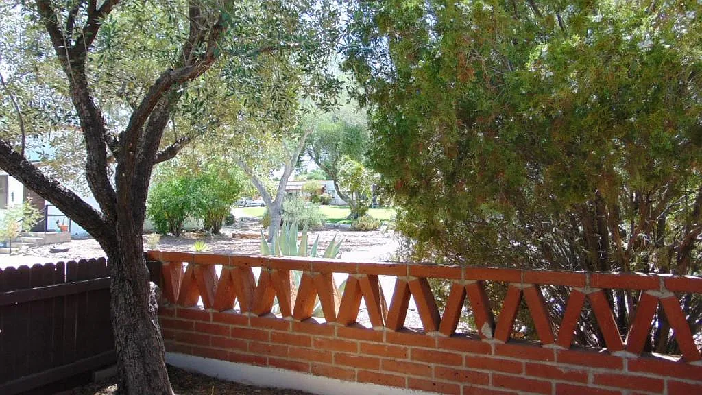 321 S Paseo Cerro B — Photo 3