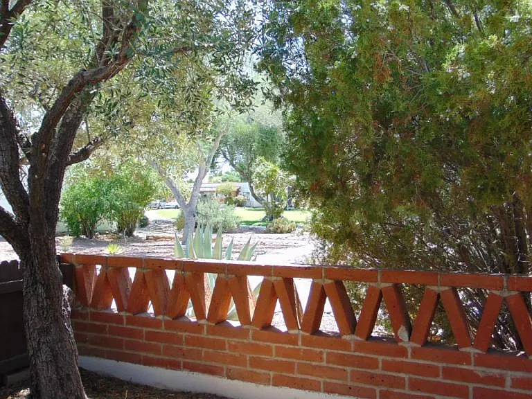 321 S Paseo Cerro #B — Photo 3