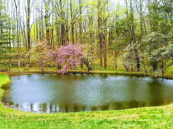 View of pond during cherry blossom time