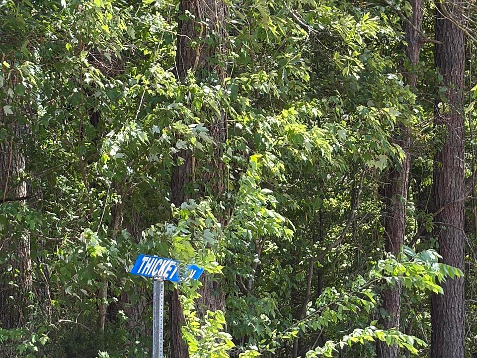 1st image of 0 Thicket Ln