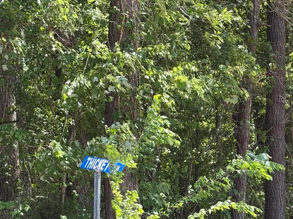 0 Thicket Ln, Saint Stephen, SC 29479