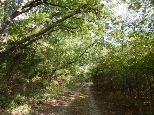 E McFarland St, Bells, TX 75414