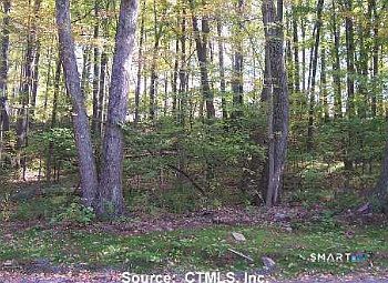 1st image of 254 Stoddard Road