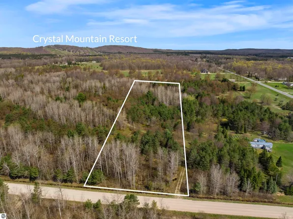 00Z0 Dzuibanek Rd, Thompsonville, MI 49683