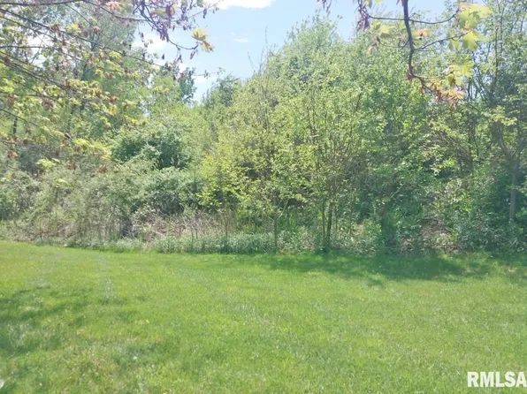 53 Hidden Ct, Dahinda, IL 61428