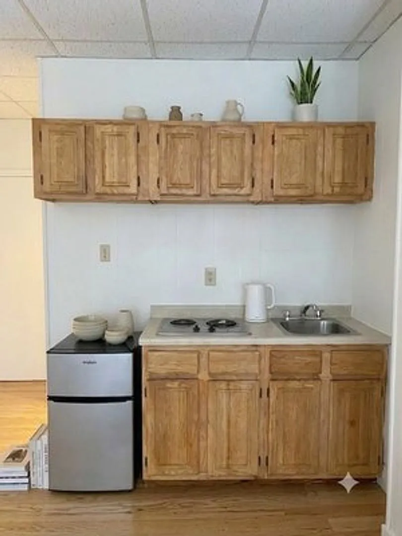 Back Bay Studio on Newbury Street | Sunny, Hardwood Floors & Private Bath — Photo 3