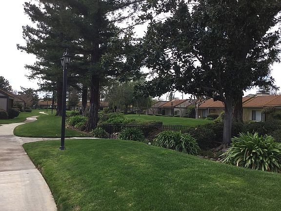 Park view!