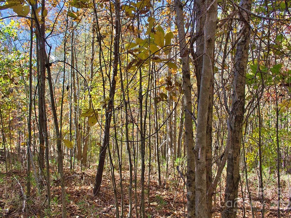 2nd image of 0 Creekside Cir #113